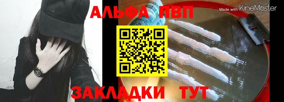 Белореченск  А ПВП СК КРИС  даркнет сайт  Вход с VPN  Альфа ПВП СК 