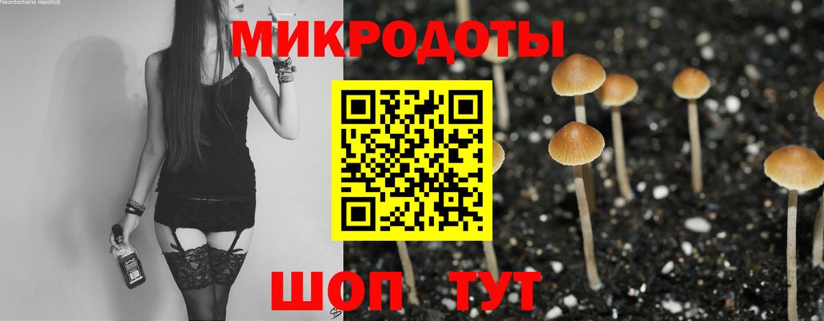Галлюциногенные грибы мицелий  Вход с VPN  Белореченск  Галлюциногенные грибы Psilocybe 